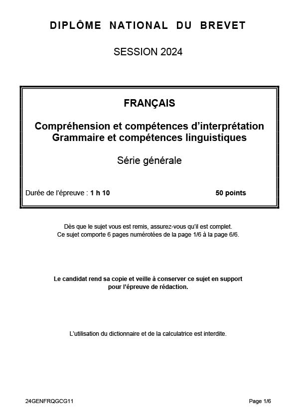 Diplôme National du Brevet, photographie de Virginie Lançon.