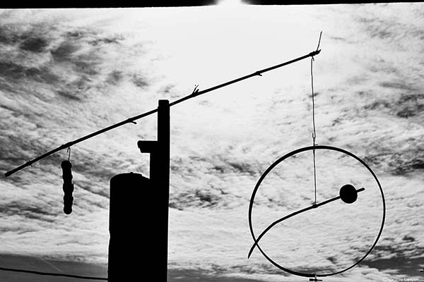 Photographies Sculptures et Jardins, À ciel ouvert, Jean-Jacques Lécuru, Virginie Lançon.