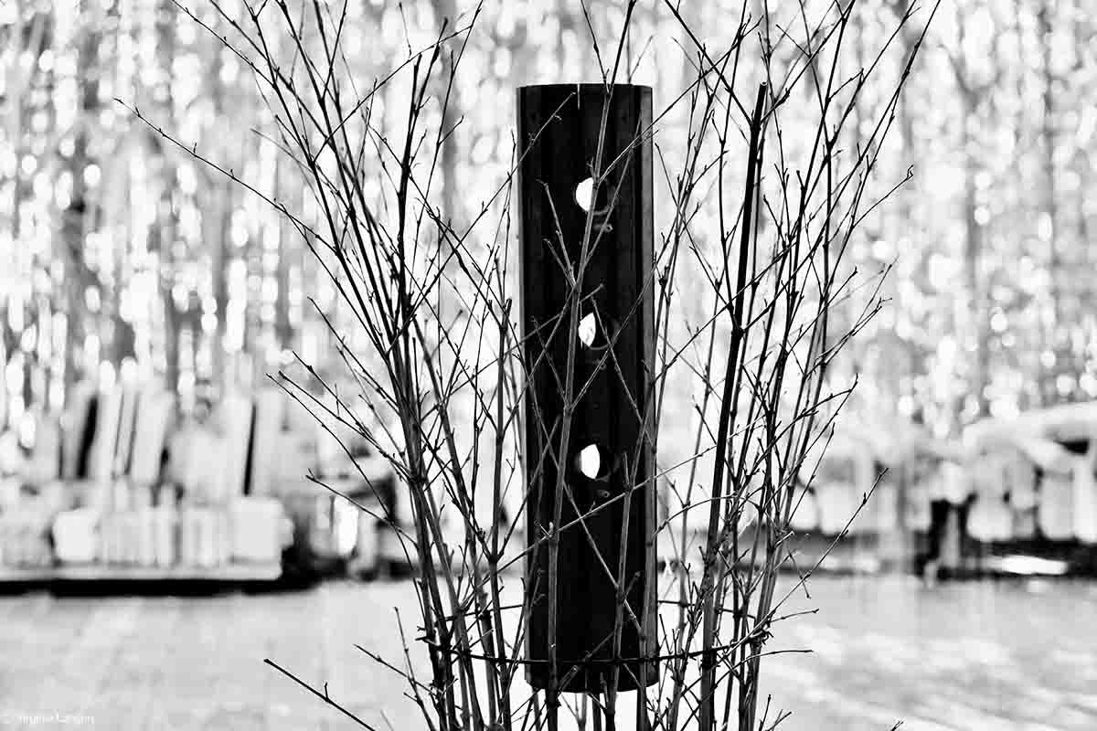 Photographies Sculptures Jardins - Jean-Jacques Lécuru , Virginie Lançon