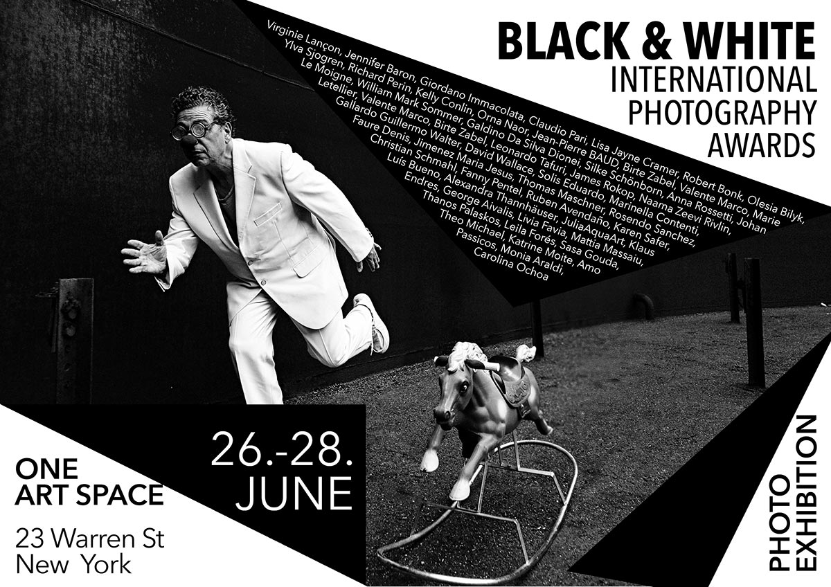 EXPOSITION NEW YORK CITY ONE ART SPACE 2026 - Virginie Lançon Photographe